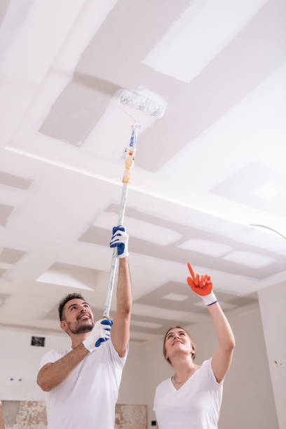 Best Emergency Mold Remediation  in Mayfield, OH