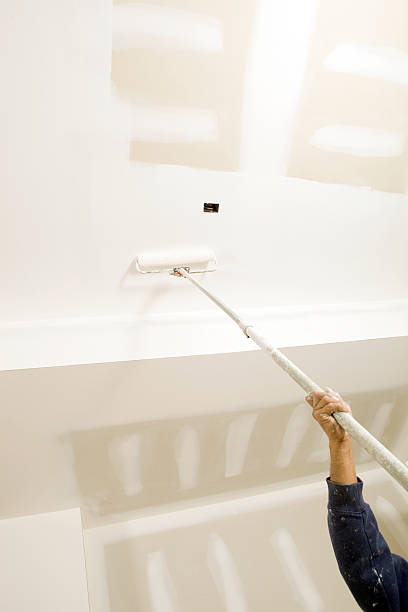 Best Water Damage & Mold Remediation  in Mayfield, OH