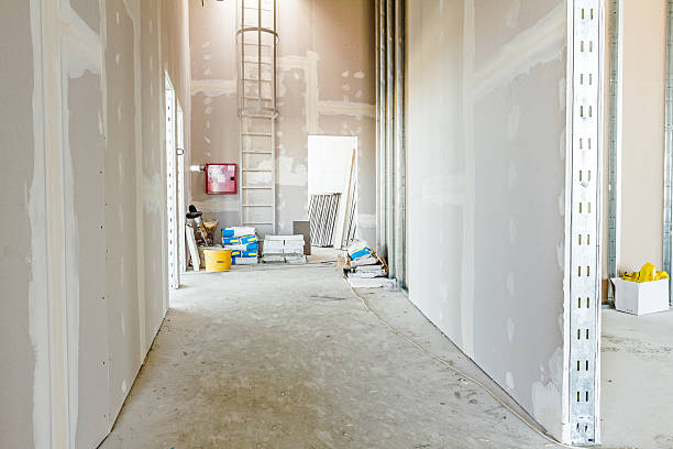 Best Mold Removal for HVAC Installations  in Mayfield, OH