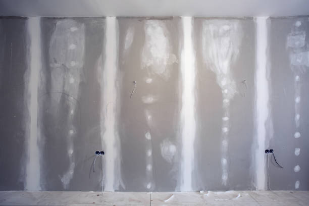 Best Basement Mold Removal  in Mayfield, OH